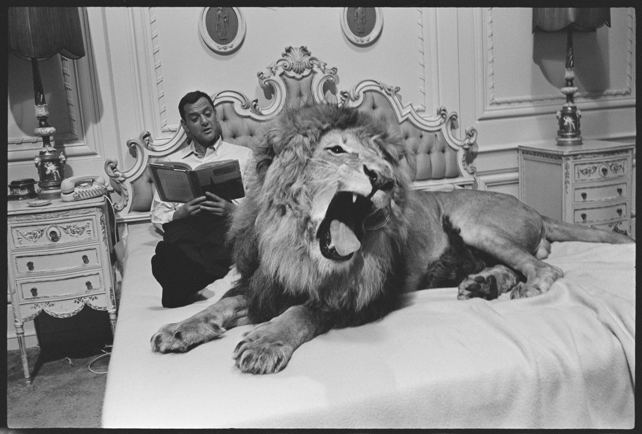 Tony Randall avec un lion (Zamba), sur le plateau de 
