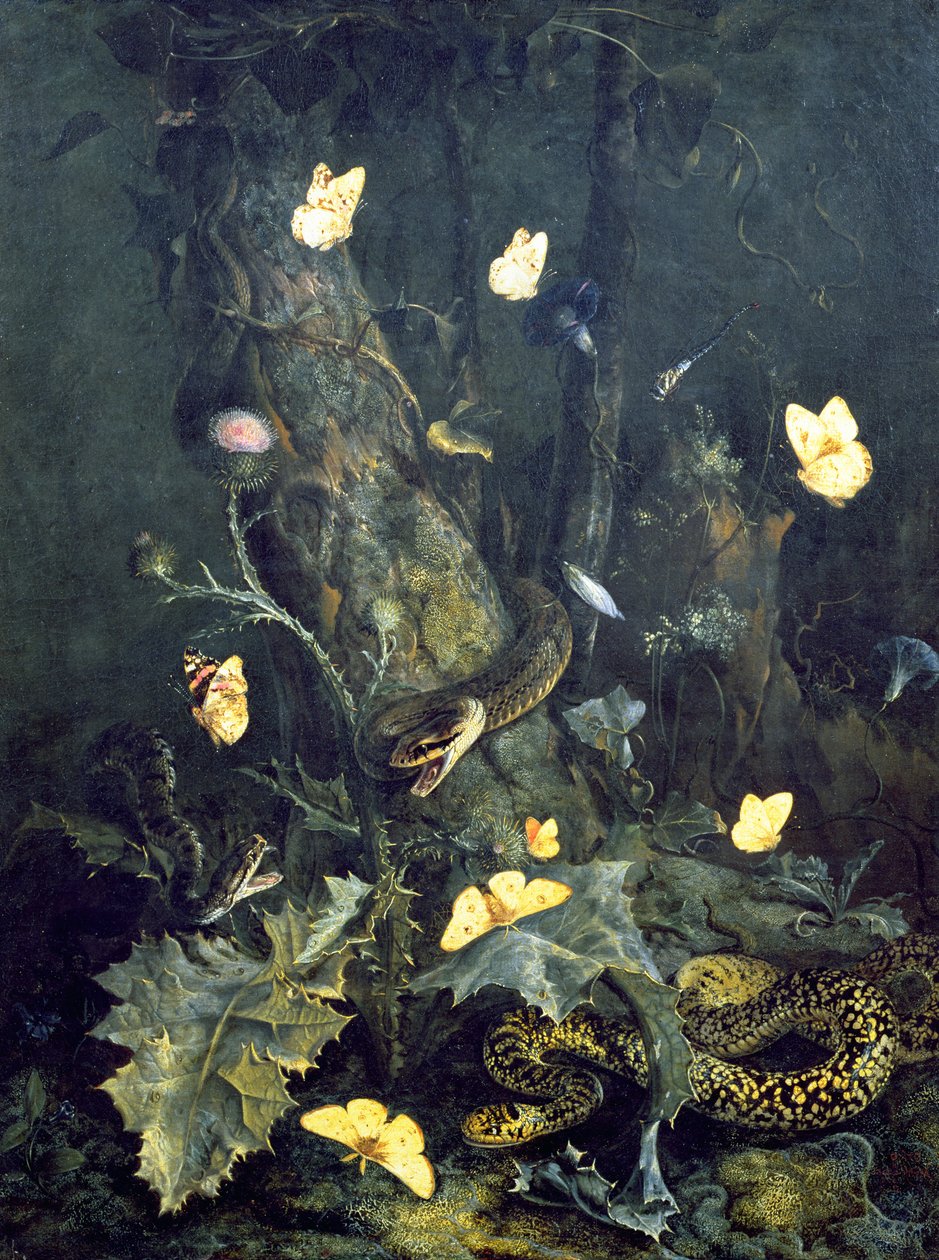 Serpents et Papillons, 1670 - Otto Marseus  van Schrieck