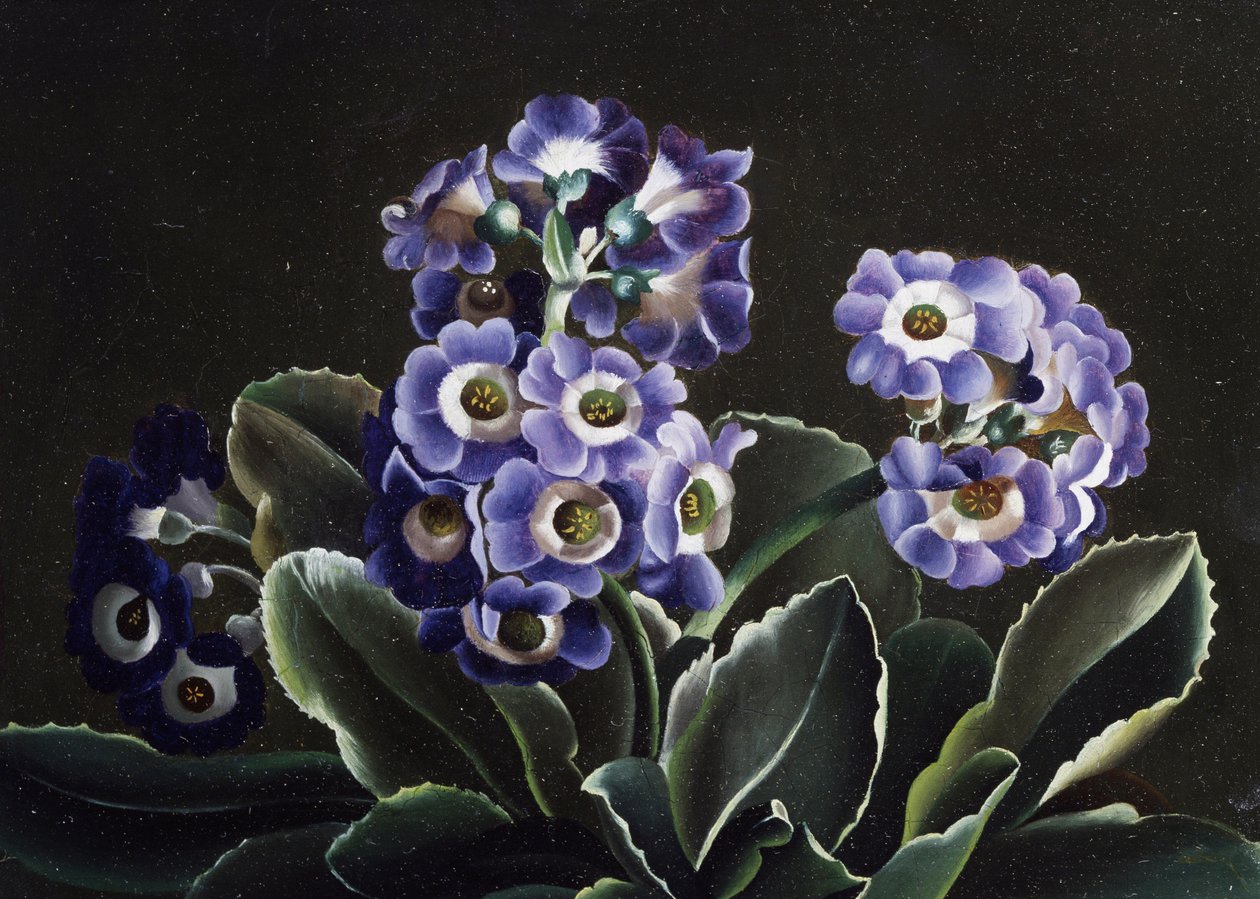 Nature morte de primeveres - Otto Didrik Ottesen