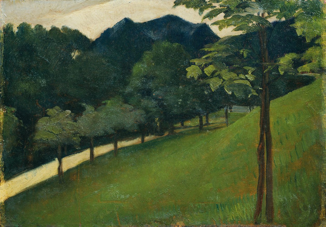 Vue d