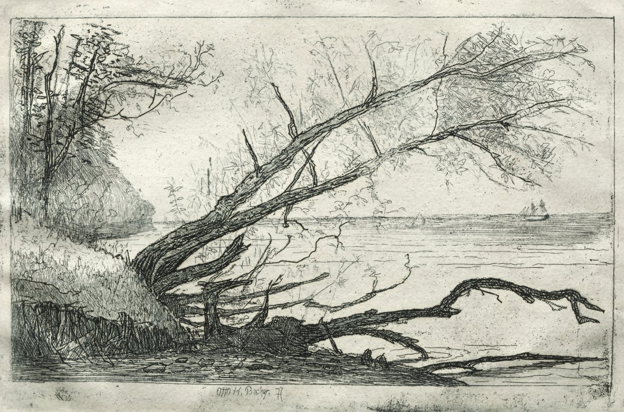 Vieux sycomore, 1877 - Otto H. Bacher