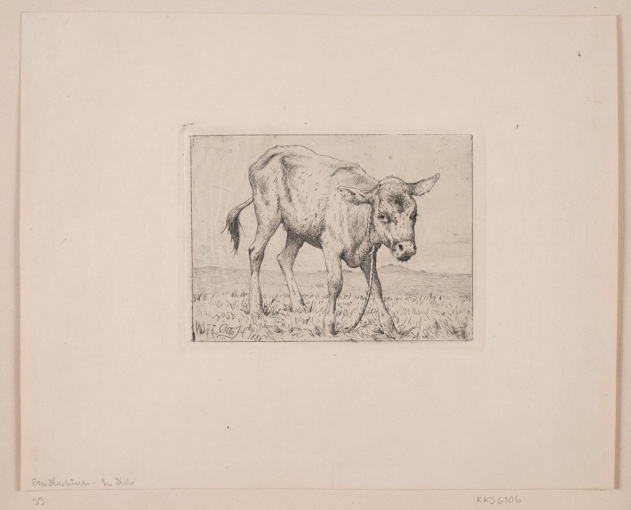 Un veau - Otto Haslund