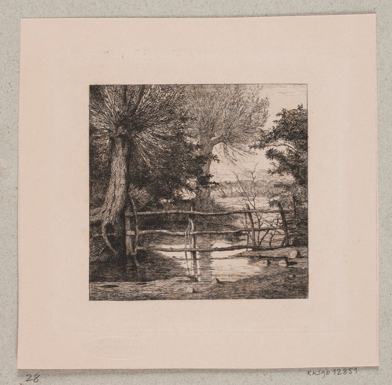 Saules près d