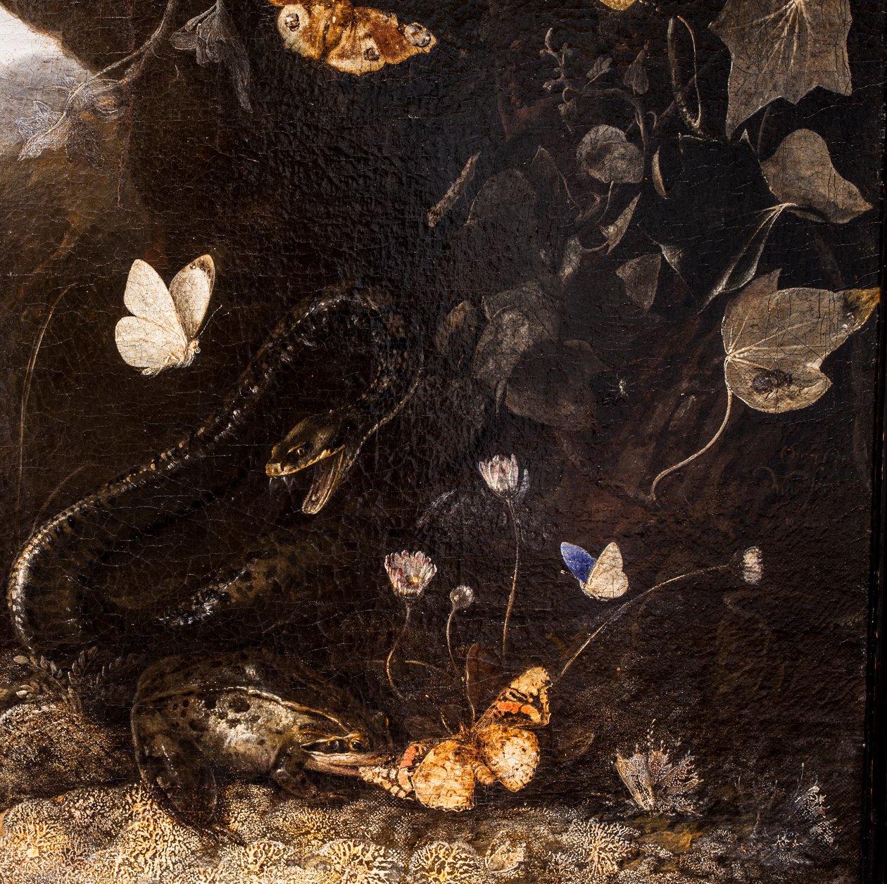 Serpents, crapauds et papillons - Otto Marseus van Schrieck