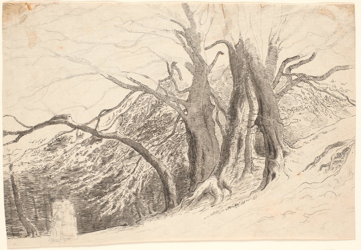 Une pente avec de grands arbres dans une forêt, avec deux dames marchant - P.C. Skovgaard
