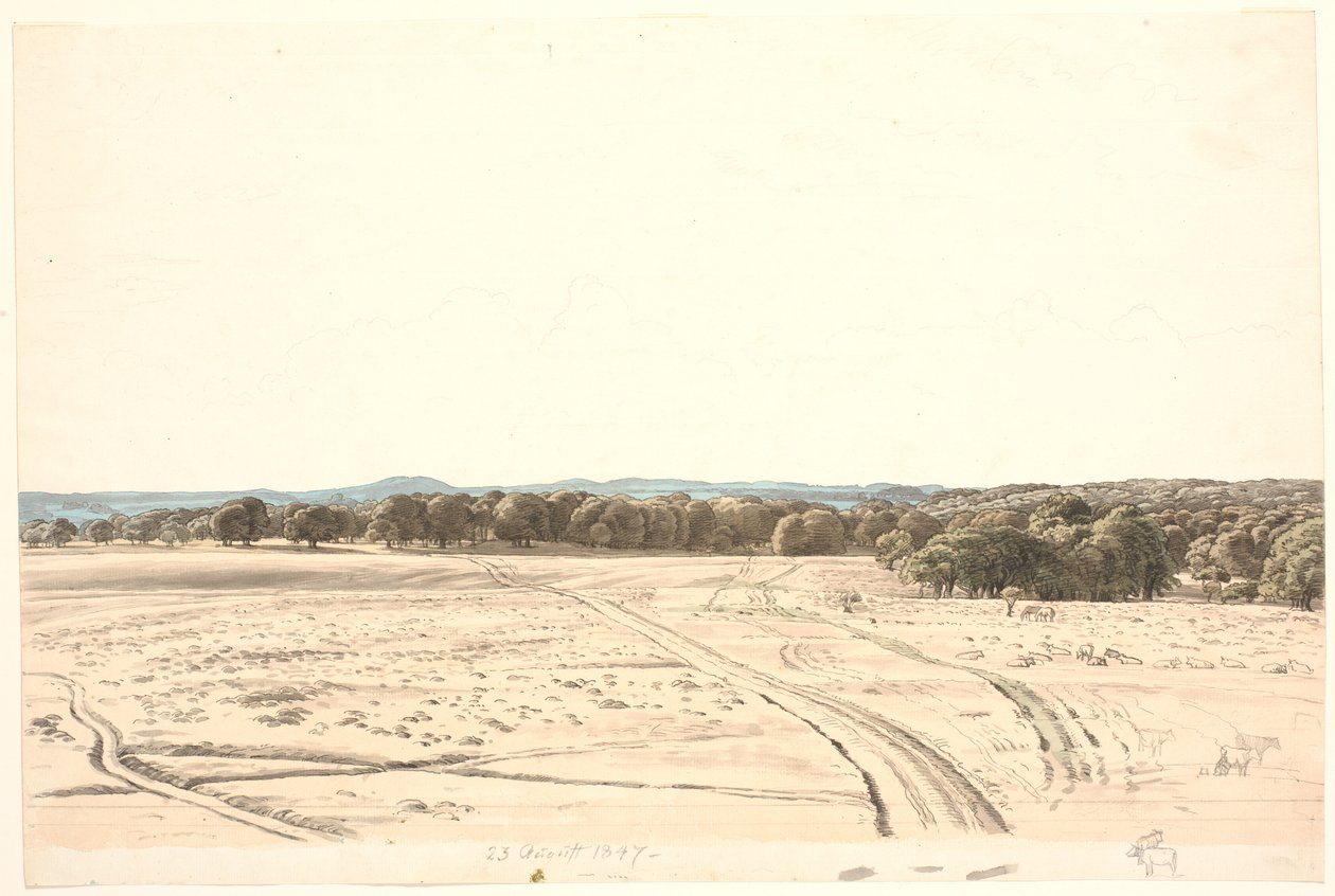 Depuis la plaine de l