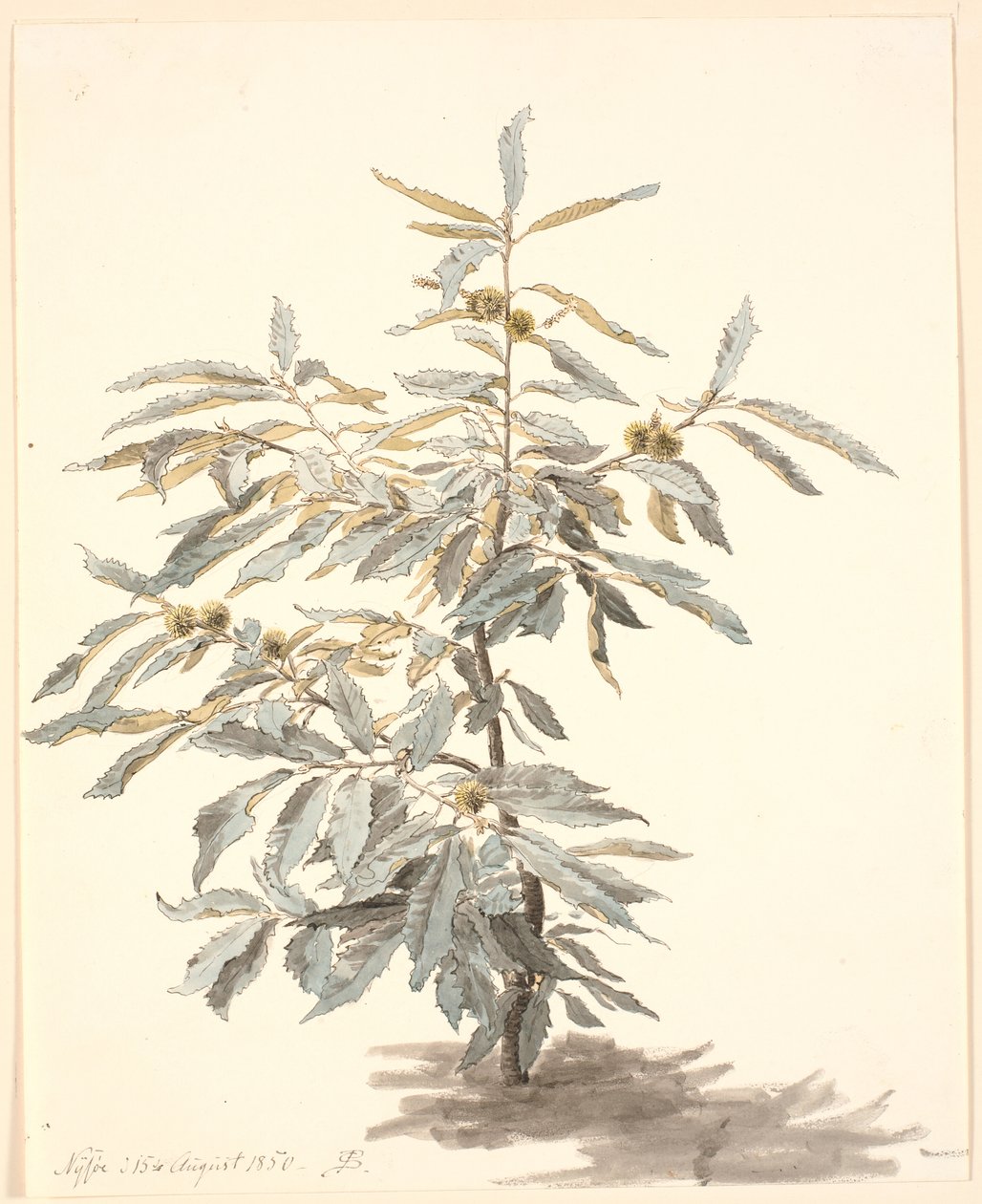 Étude d