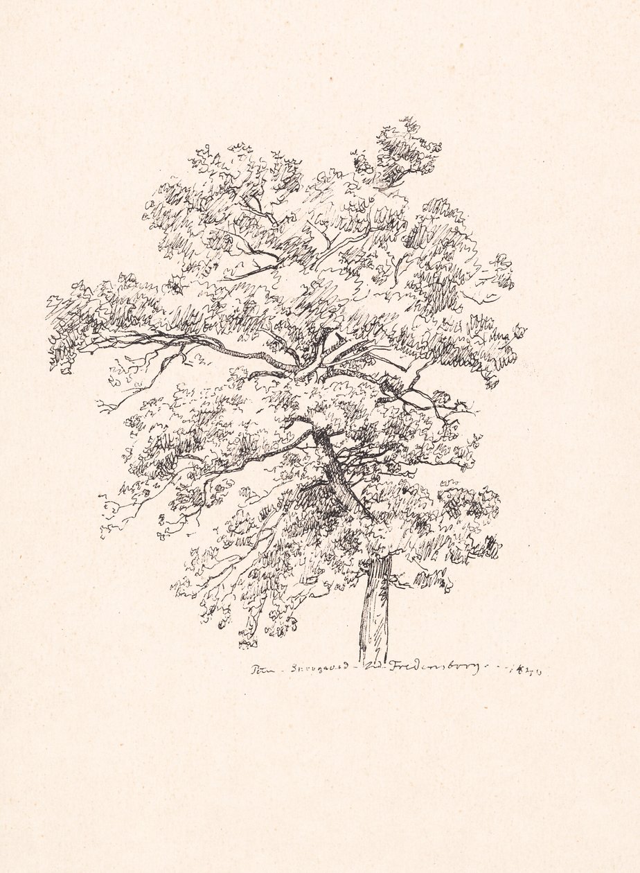 Arbre à Fredensborg - P.C. Skovgaard