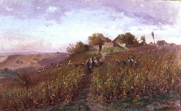 Vendange sur les pentes de l