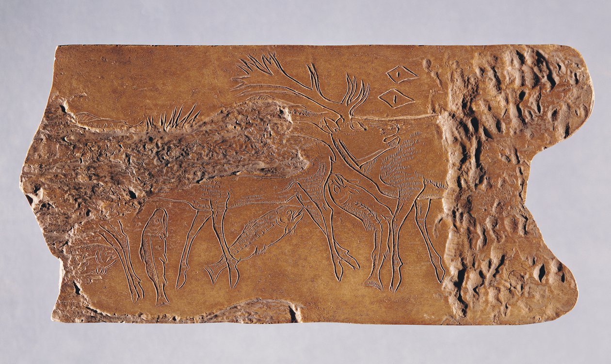 Corne de renne sculptée avec des cerfs et des saumons sautants, de la Grotte de Lortet, Magdalénien, 15000-18000 av. J.-C. (corne) - Paleolithic