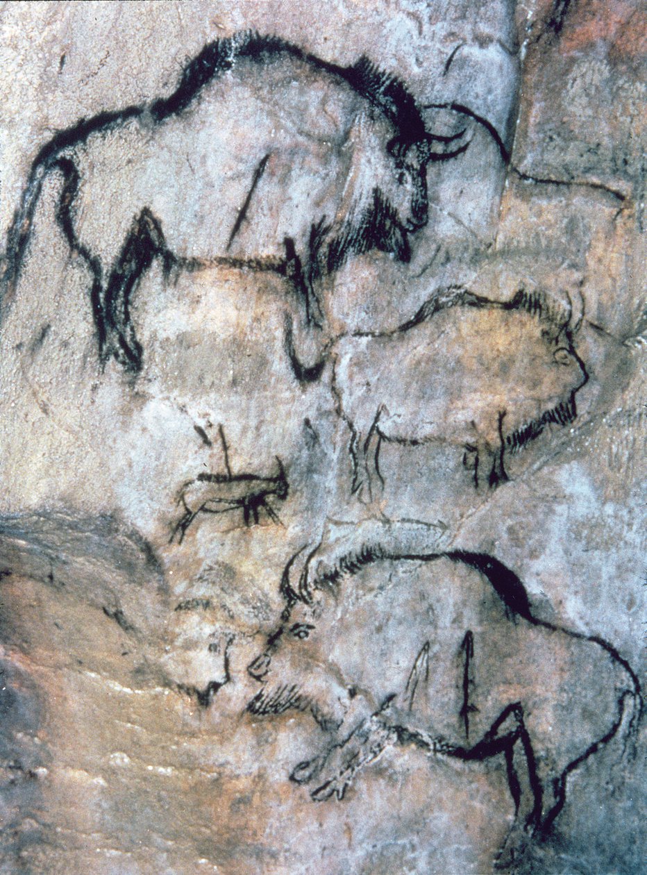 Bison blessé, Magdalénien - Paleolithic Paleolithic