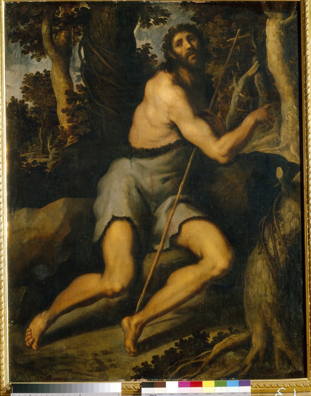 Saint Jean Baptiste dans le désert - Palma Il  Giovane