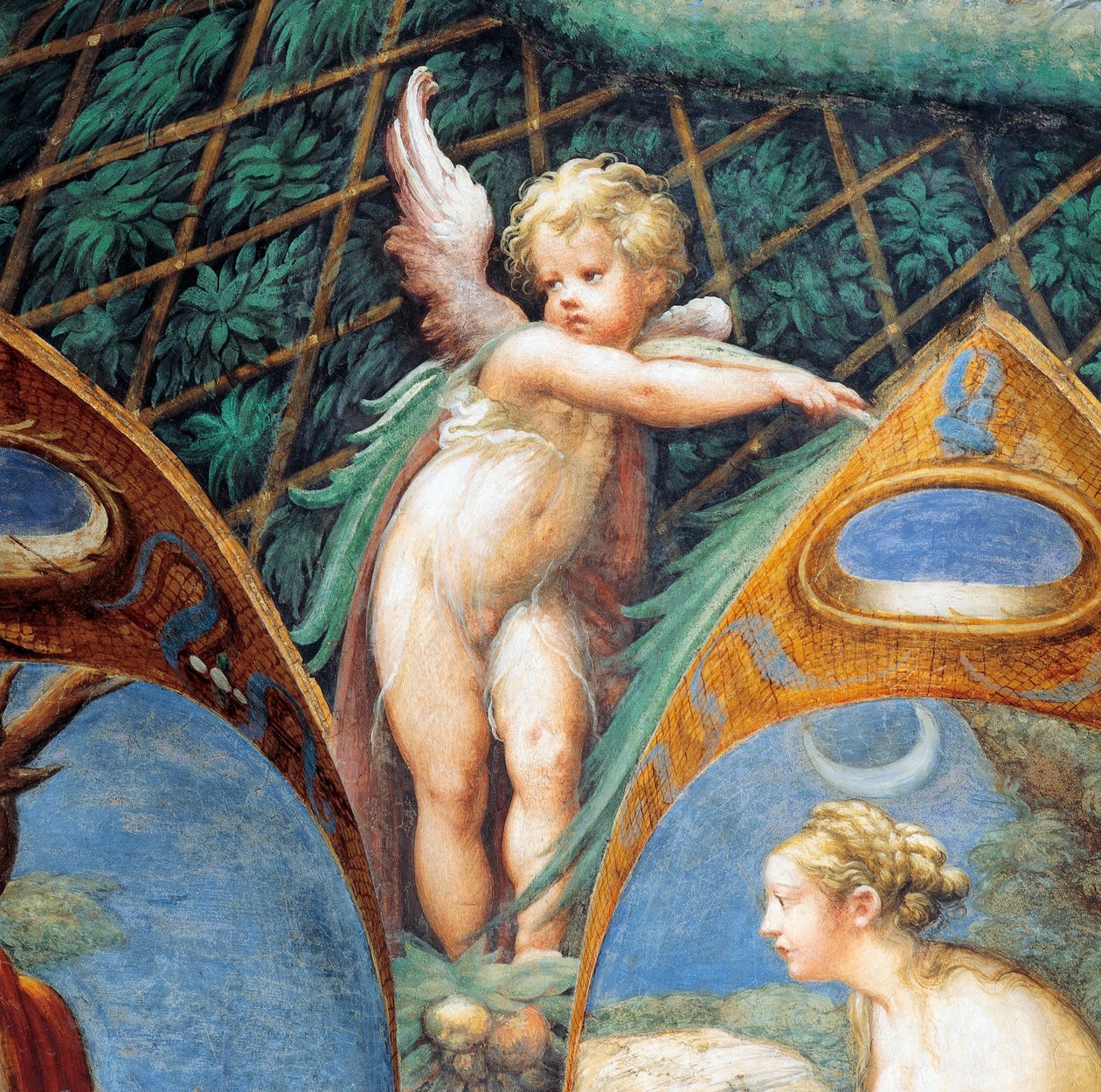 Chérubin et visage de Diane, du Mythe de Diane et Actéon - Parmigianino