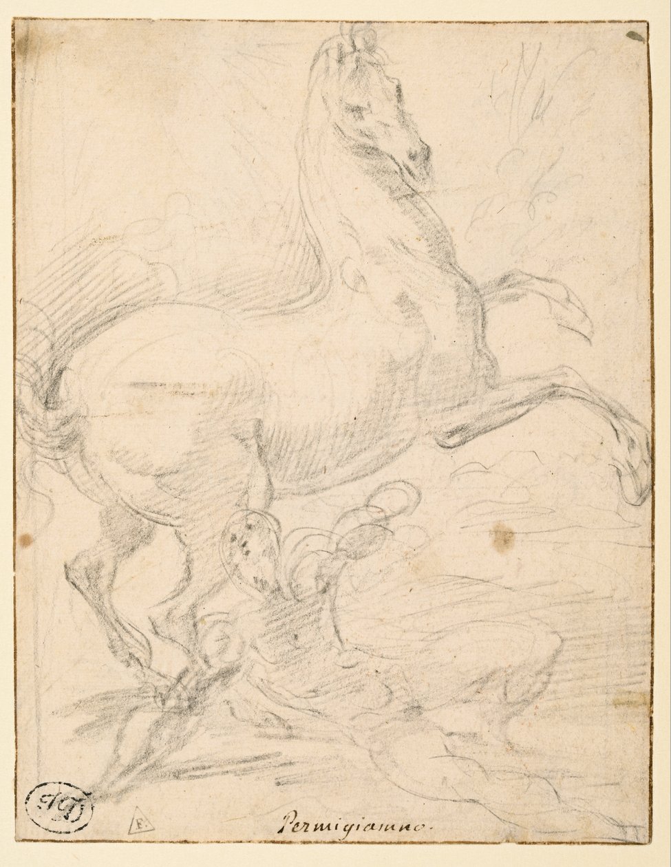 Conversion de Saint Paul (recto) - Parmigianino