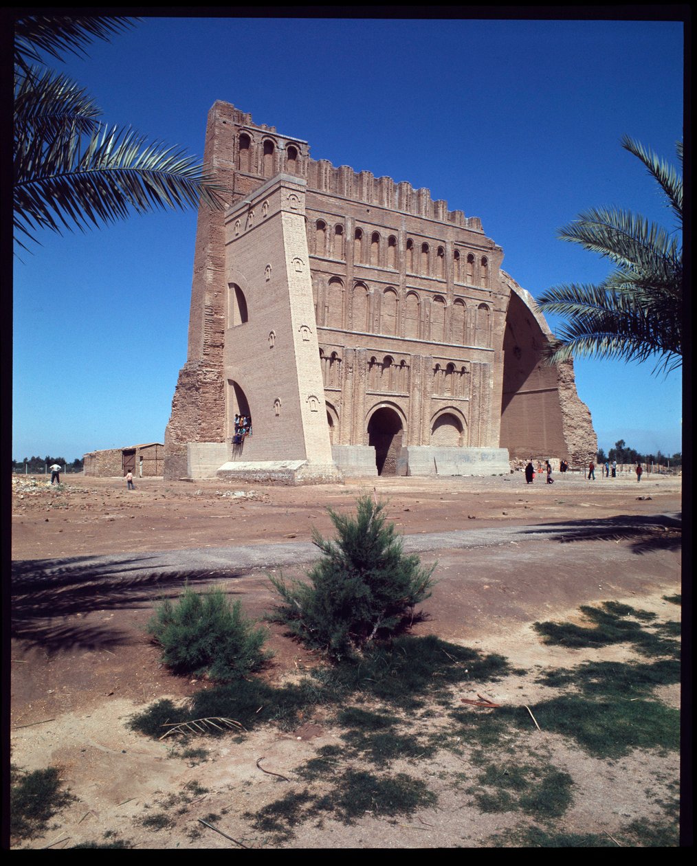 Vue du Palais de Shapur I et de l