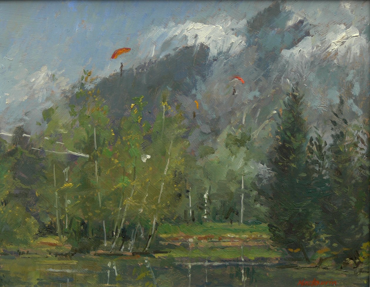 Deltaplanes à Chamonix, 2007 - Pat Maclaurin