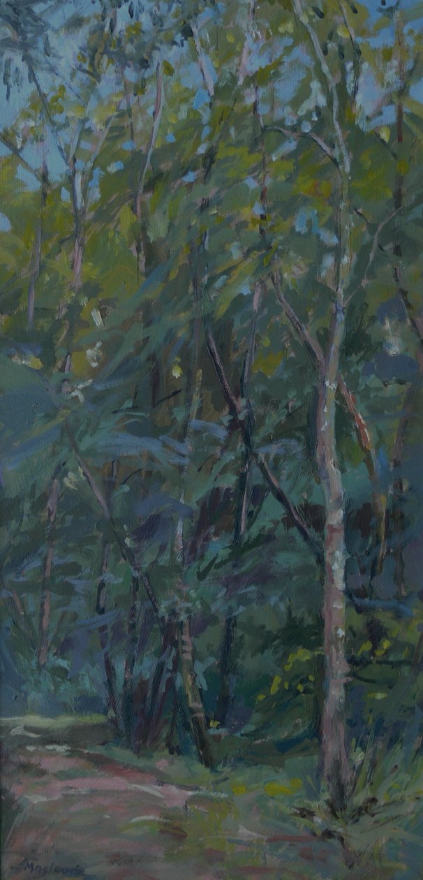 Sentier forestier, 2008 - Pat Maclaurin