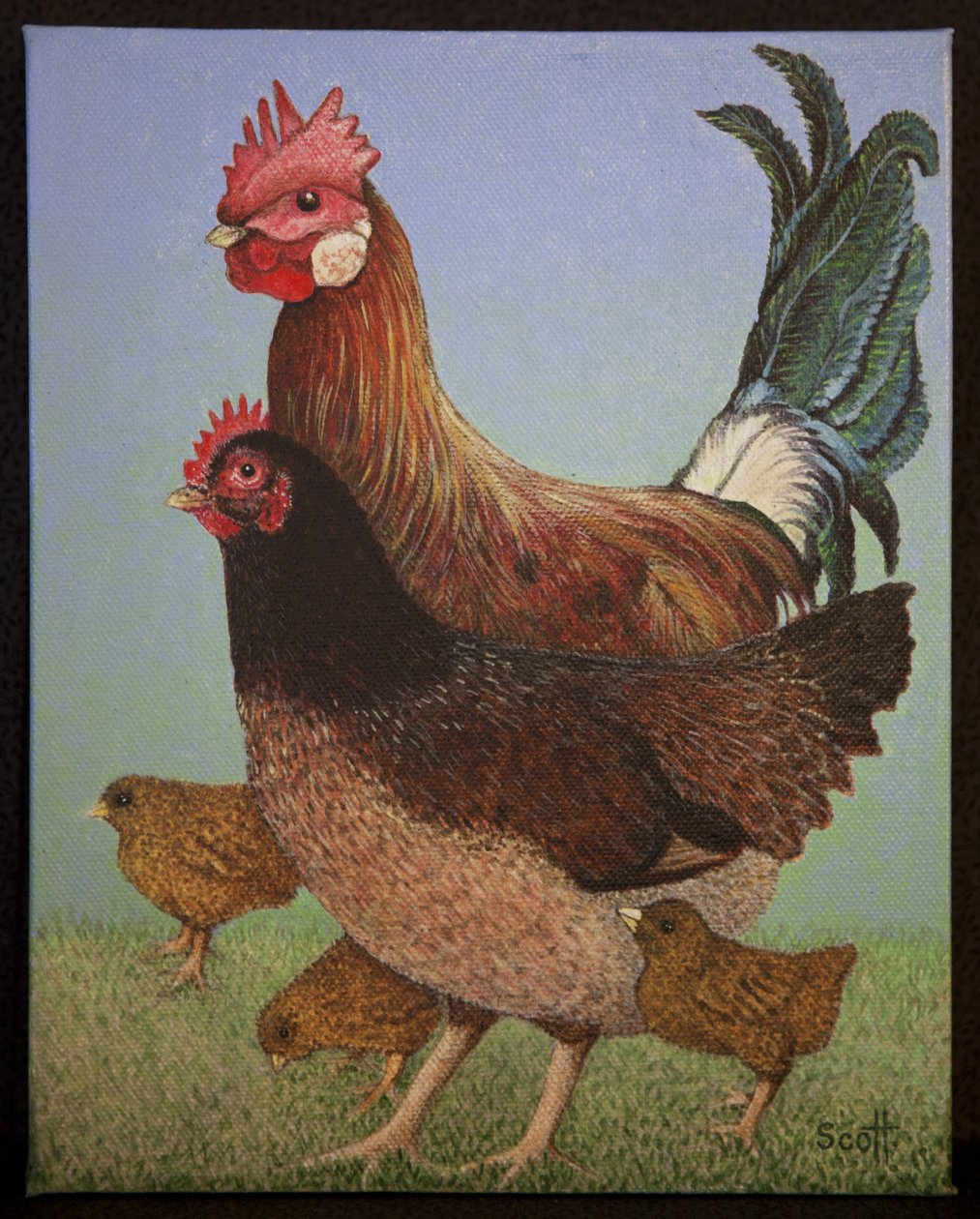 Famille de poulet, 2016 - Pat Scott