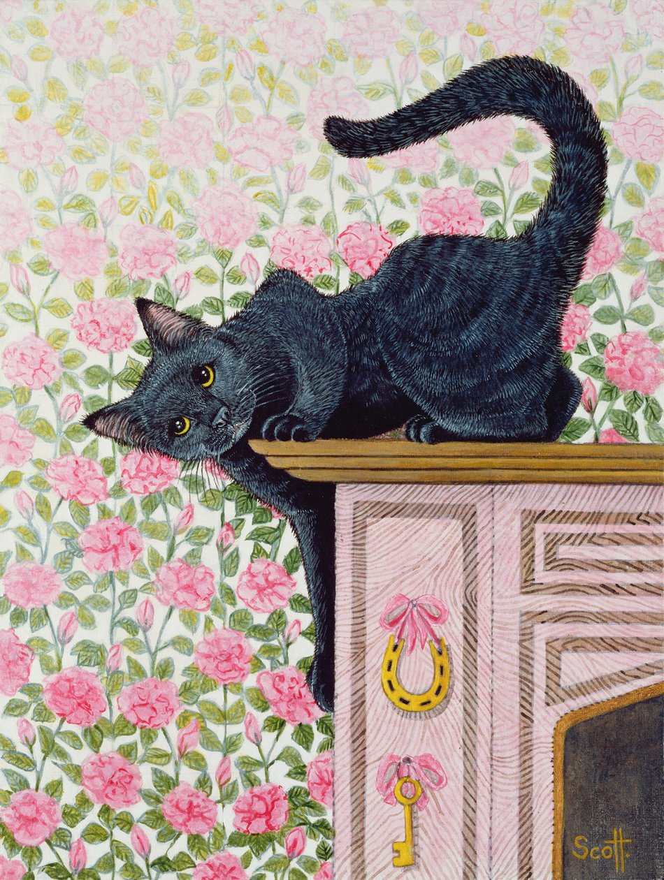 Les roses qui montent - Pat Scott
