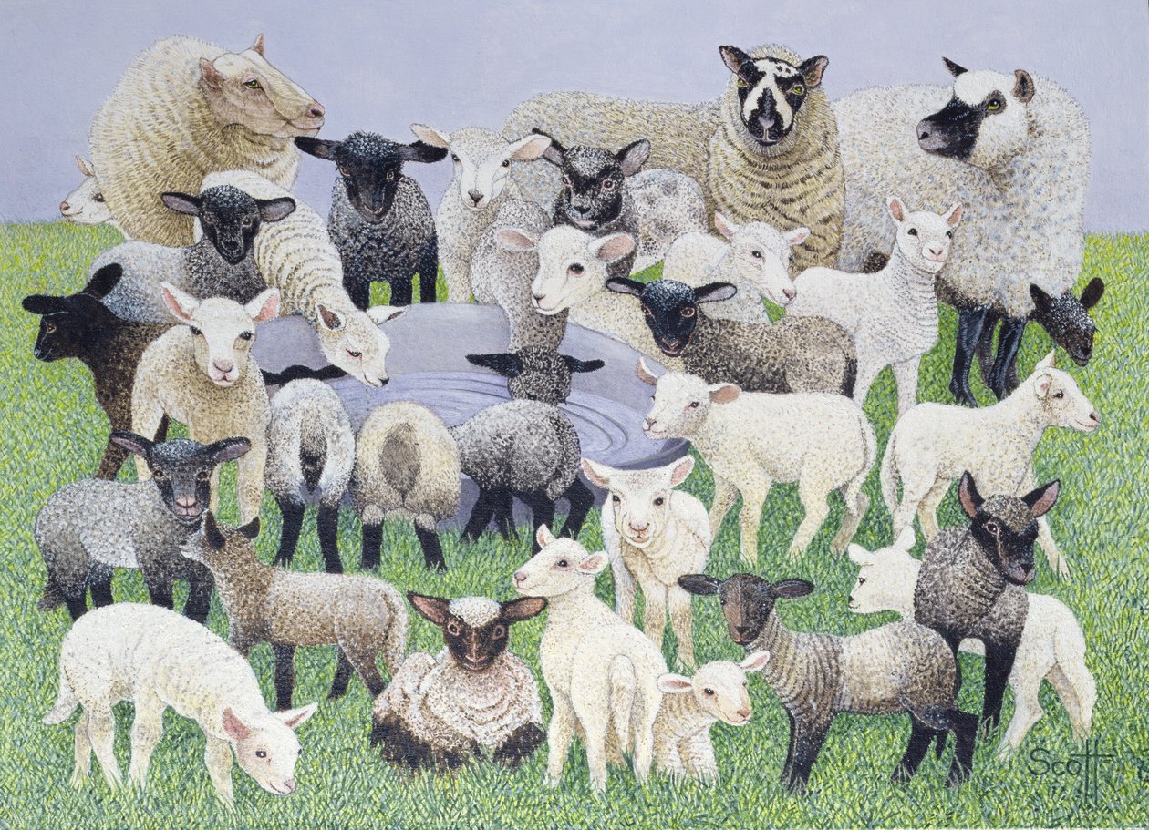 Feeling Sheepish (huile sur toile) - Pat Scott
