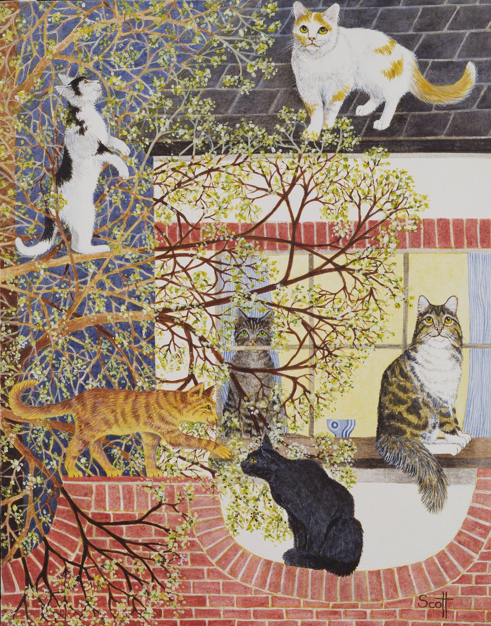 Sous les feux de la rampe - Pat Scott