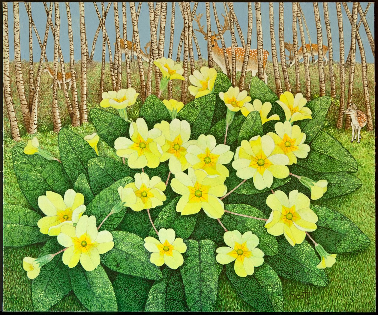 Looking Hopeful, 2011 (acrylique sur calicot) - Pat Scott