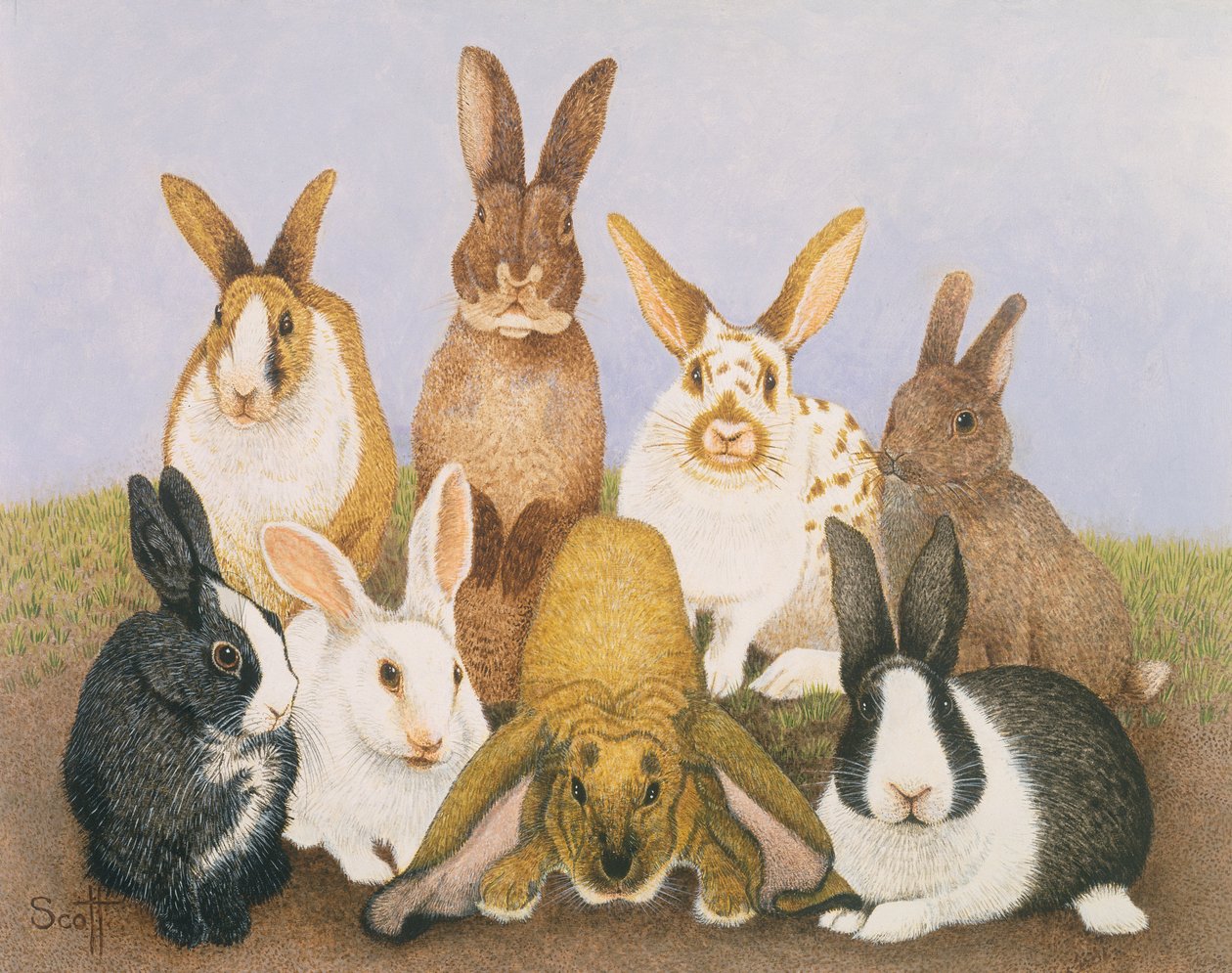 Lapins chanceux - Pat Scott