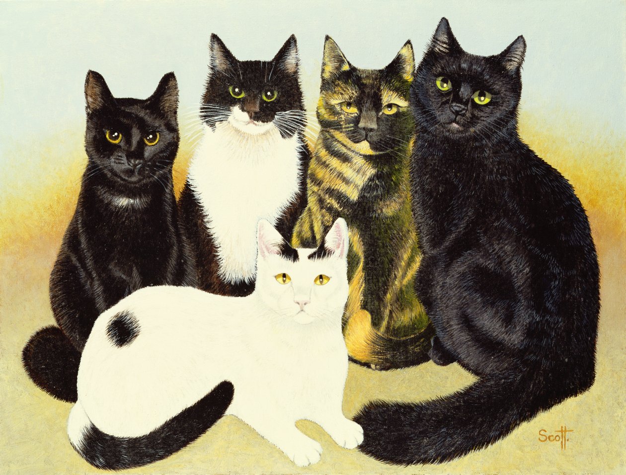Les chats de Miss Cox - Pat Scott