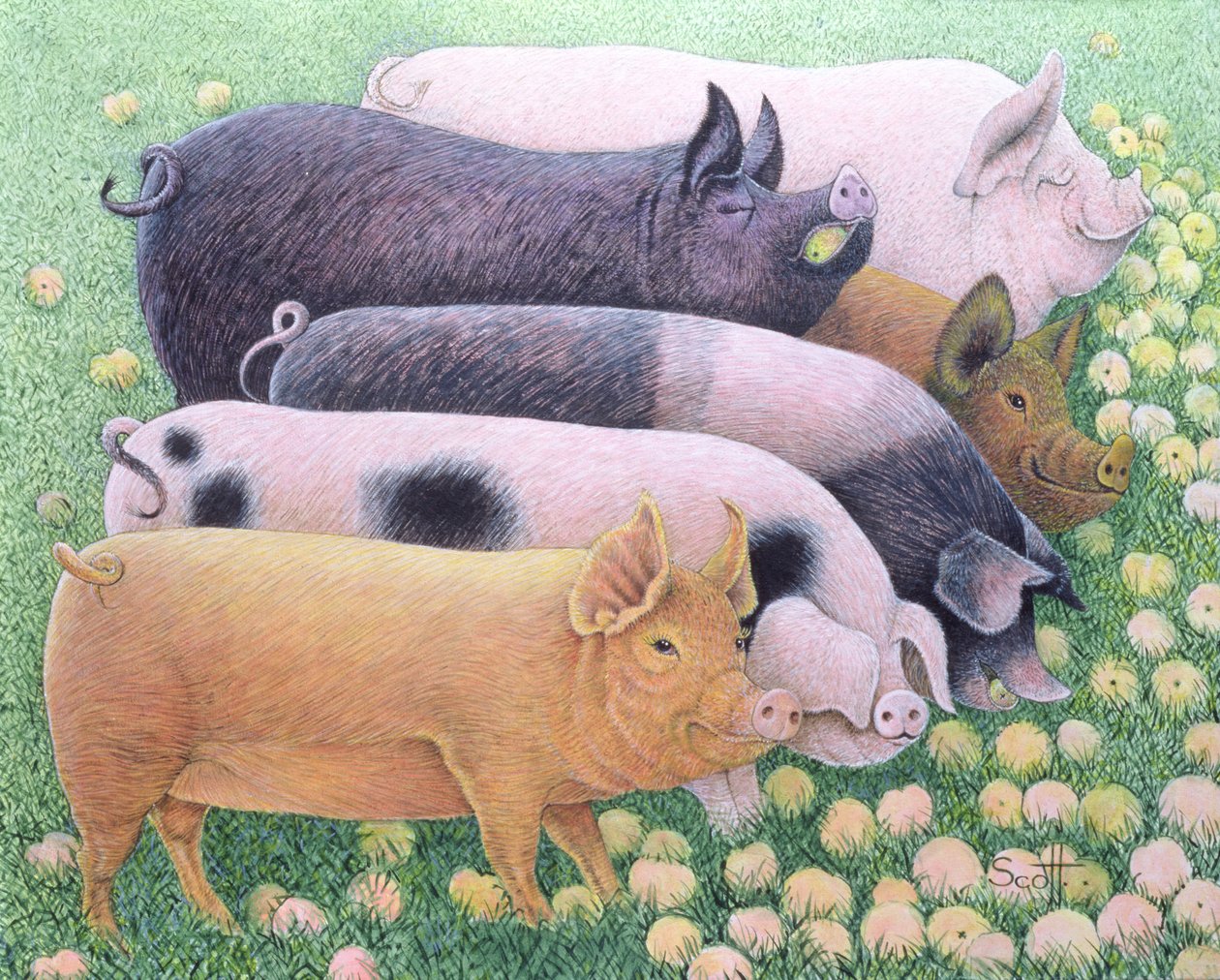 Plaisir pur (acrylique sur calicot) - Pat Scott