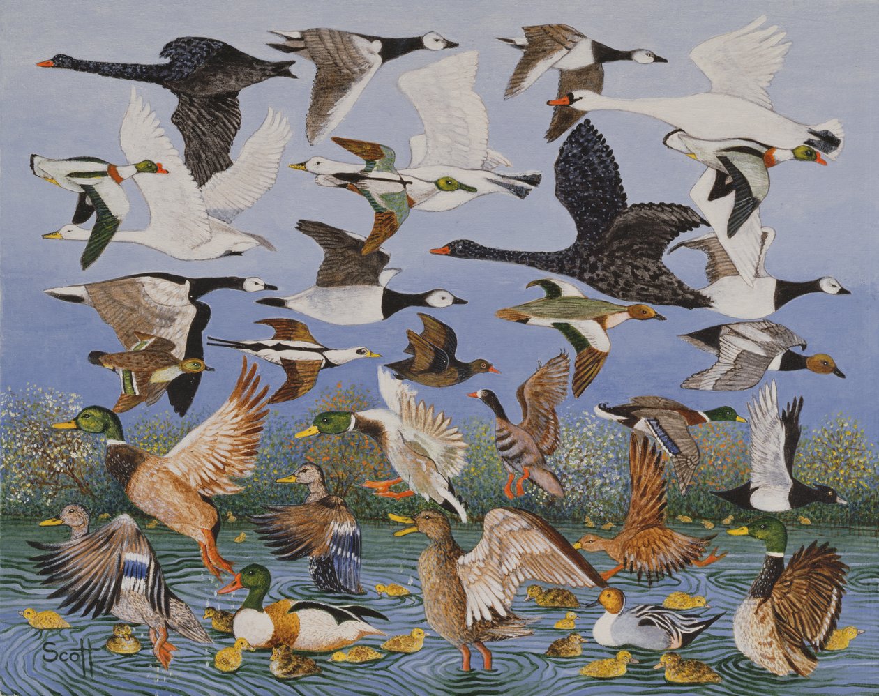 Décollage - Pat Scott