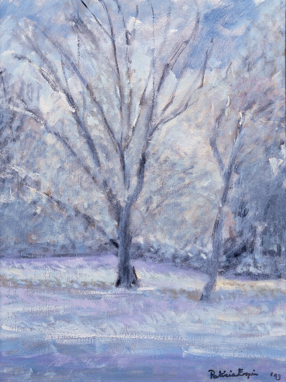 Paysage enneigé - Patricia Espir