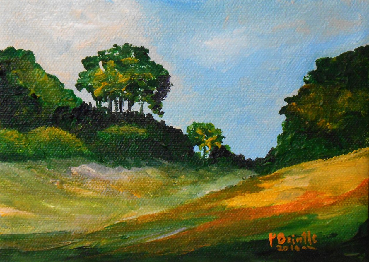 Promenade à Chardonnette, 2016 - Patricia Brintle