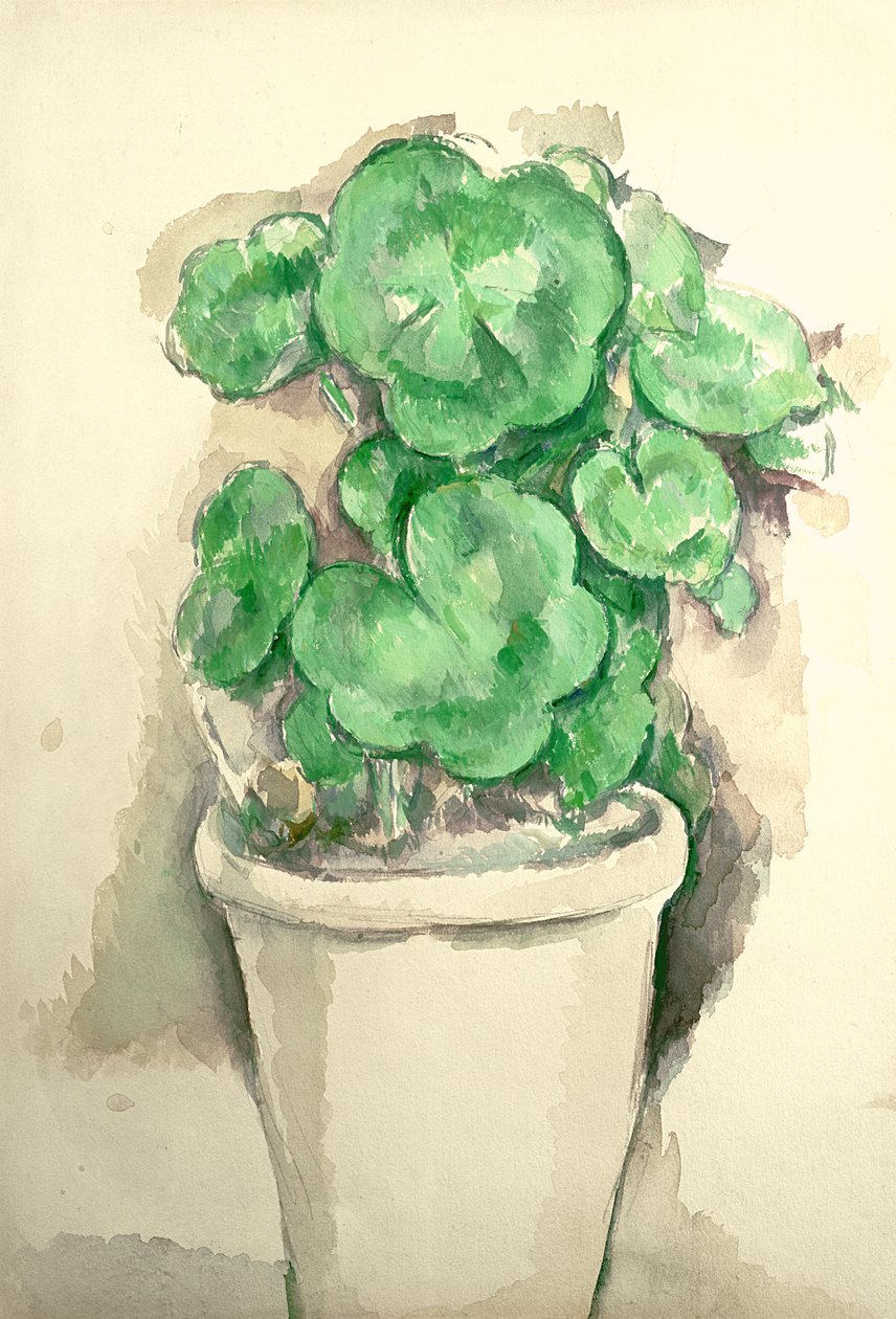 Pot de géraniums, vers 1885 - Paul Cézanne
