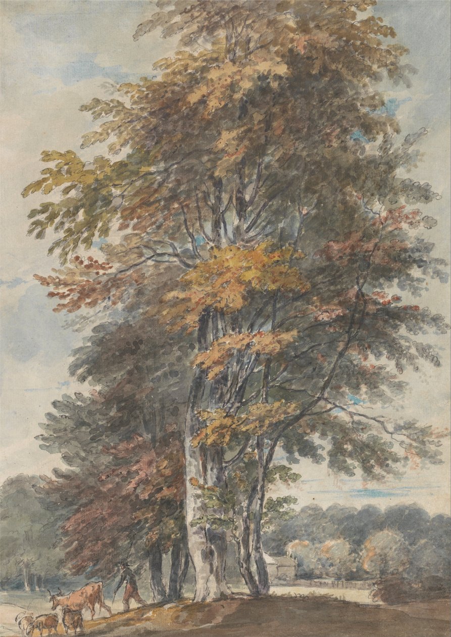 Paysage avec hêtres et homme conduisant du bétail et des moutons - Paul Sandby