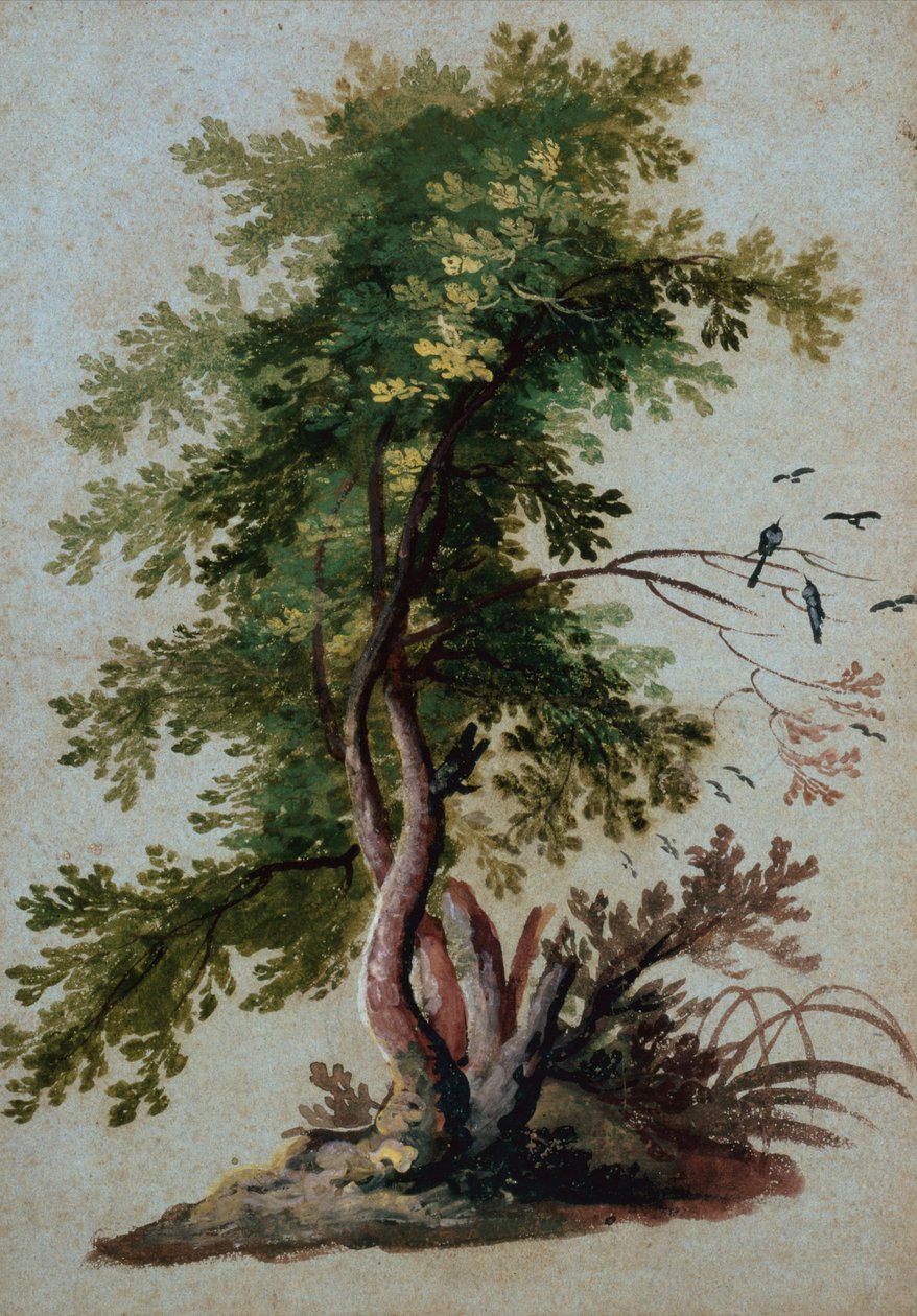 Un arbre avec deux oiseaux perchés sur une branche - Paul Brill or Bril