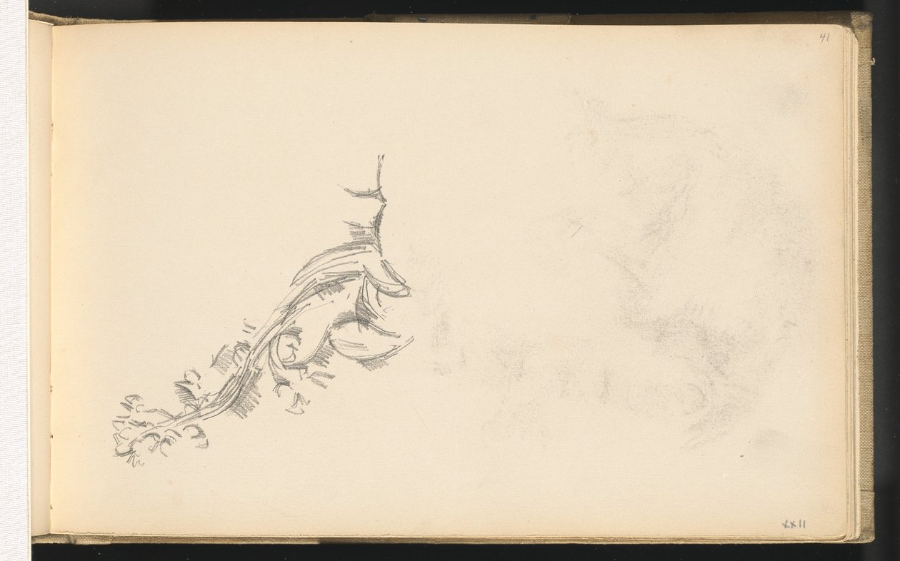 Branche en fleur - Paul Cézanne