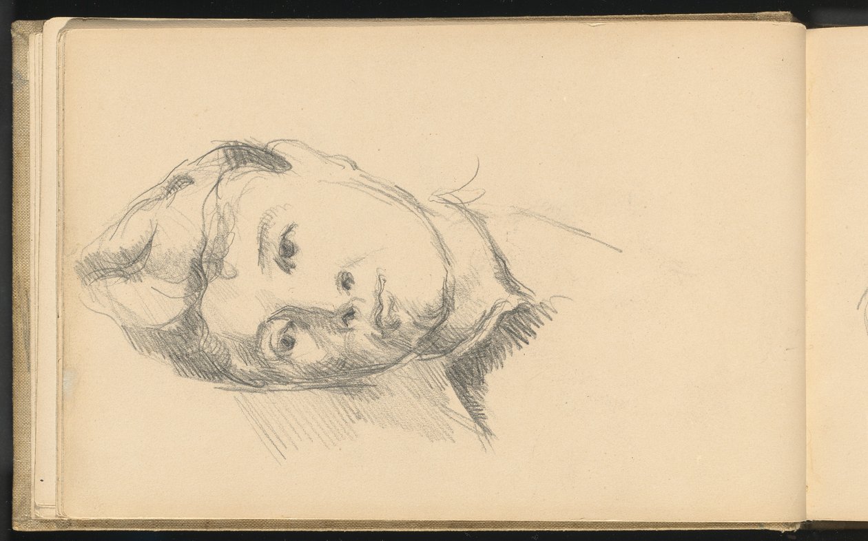 Madame Cézanne - Paul Cézanne