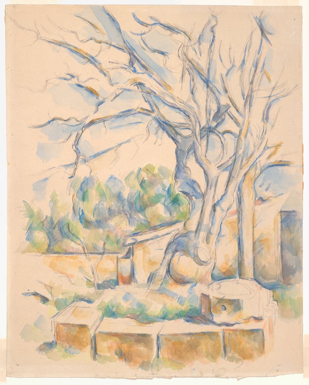 Pistachio Tree at Château Noir - Paul Cézanne