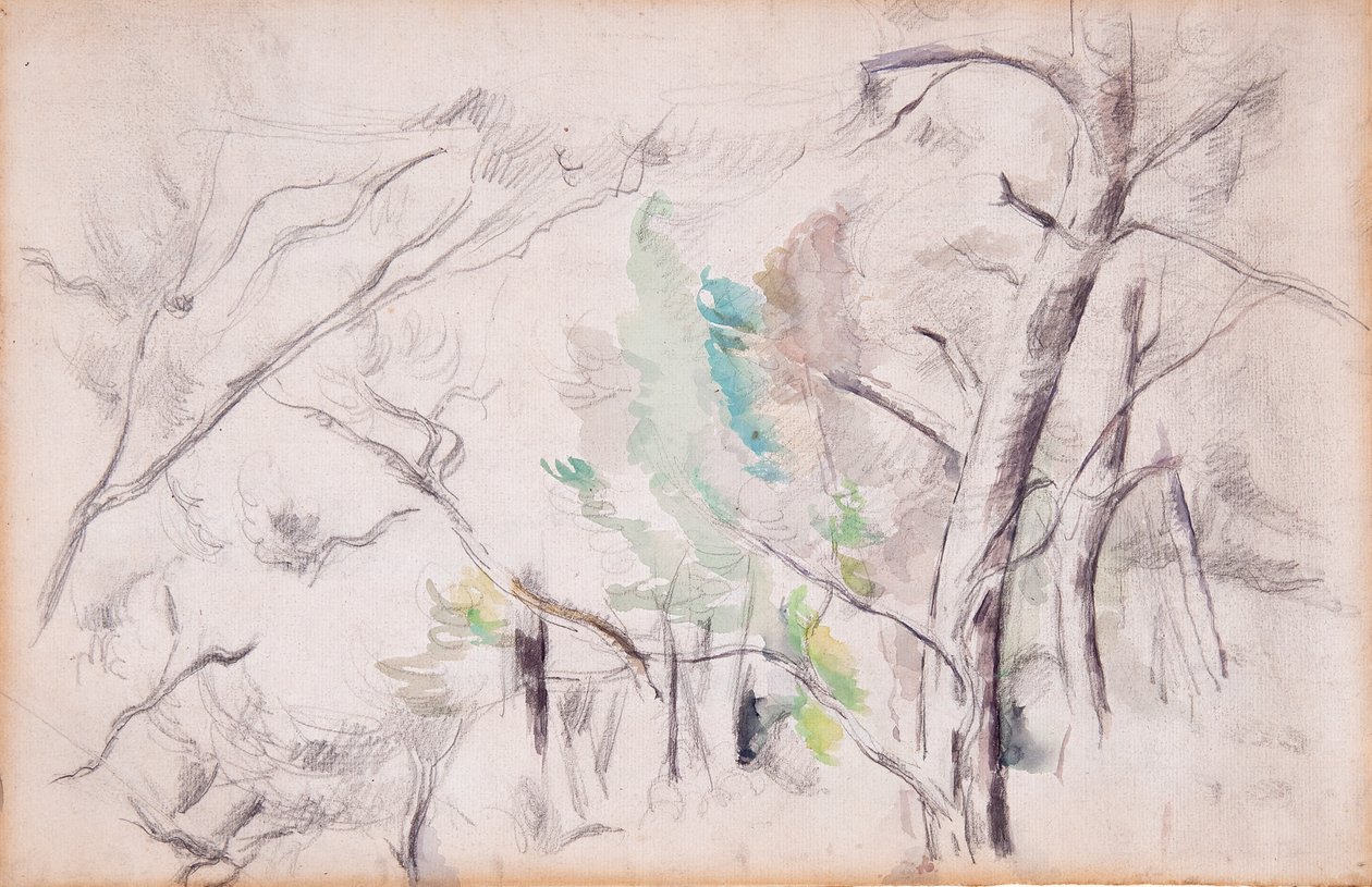 Arbres [recto]; Encagnane et le Pilon du Roi [verso] - Paul Cézanne