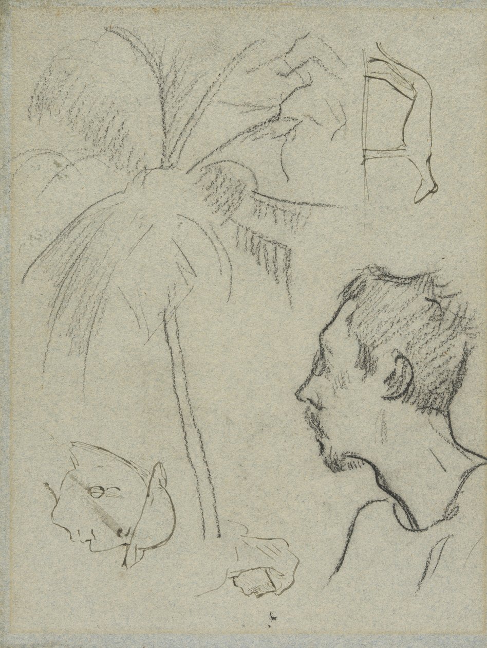 Profil de Charles Laval avec palmier et autres croquis - Paul Gauguin