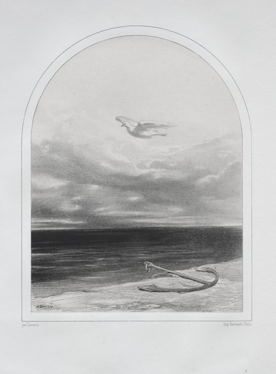 La colombe blanche - Paul Gavarni