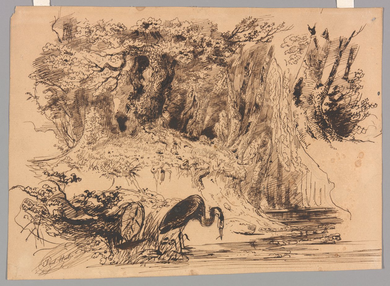 Piscine forestière avec héron - Paul Huet