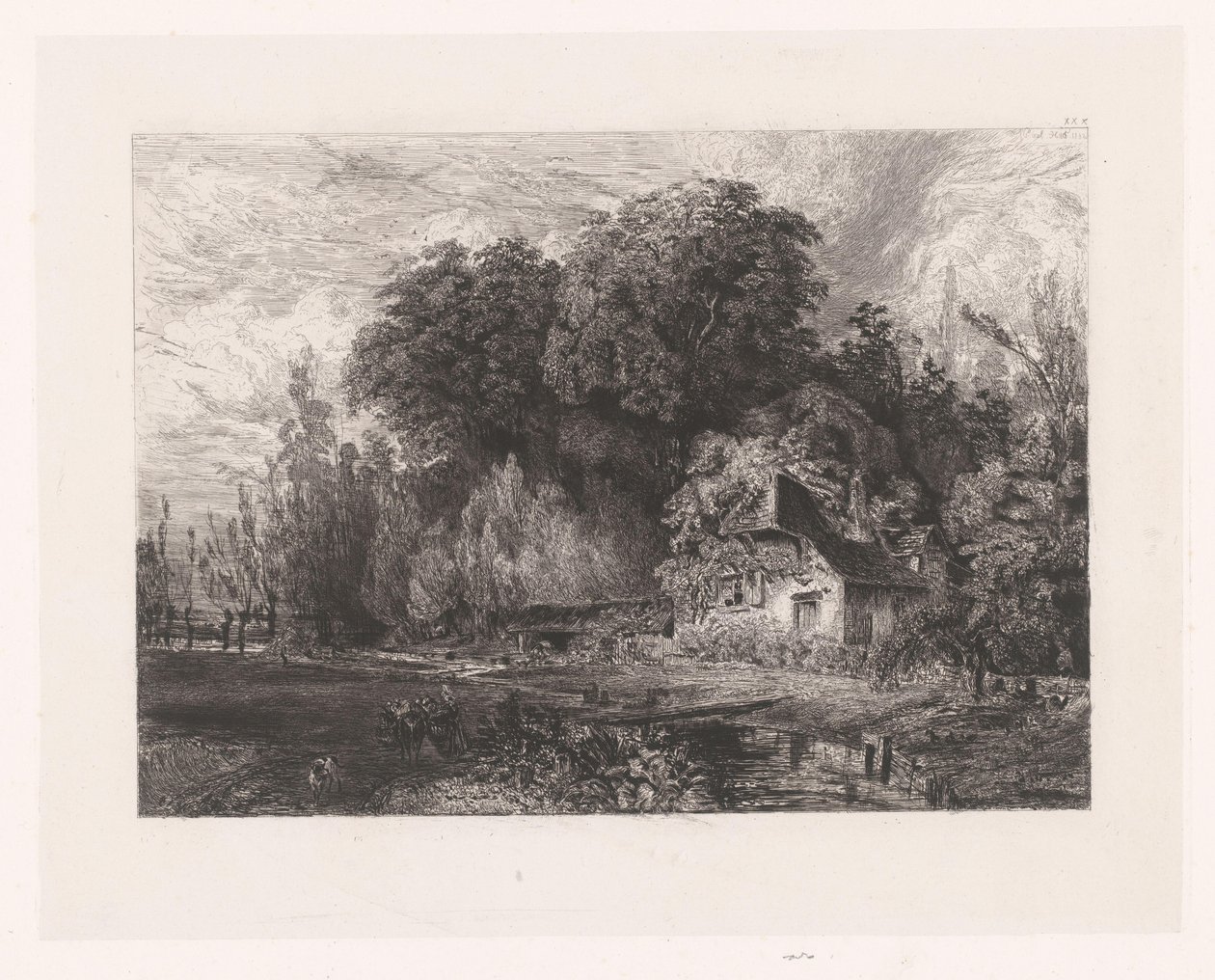 Vue d