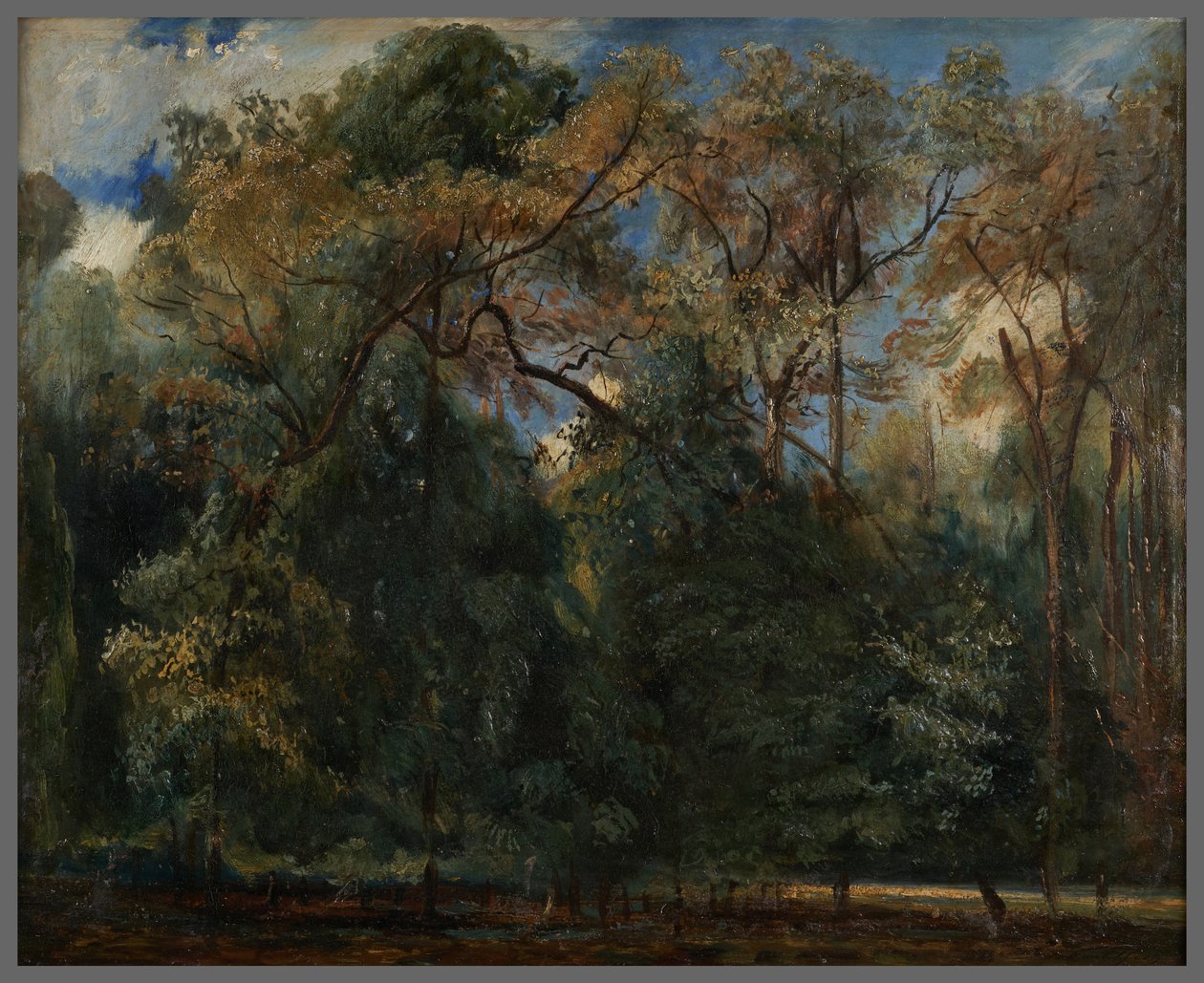 Die Ulmen von Saint-Cloud - Paul Huet
