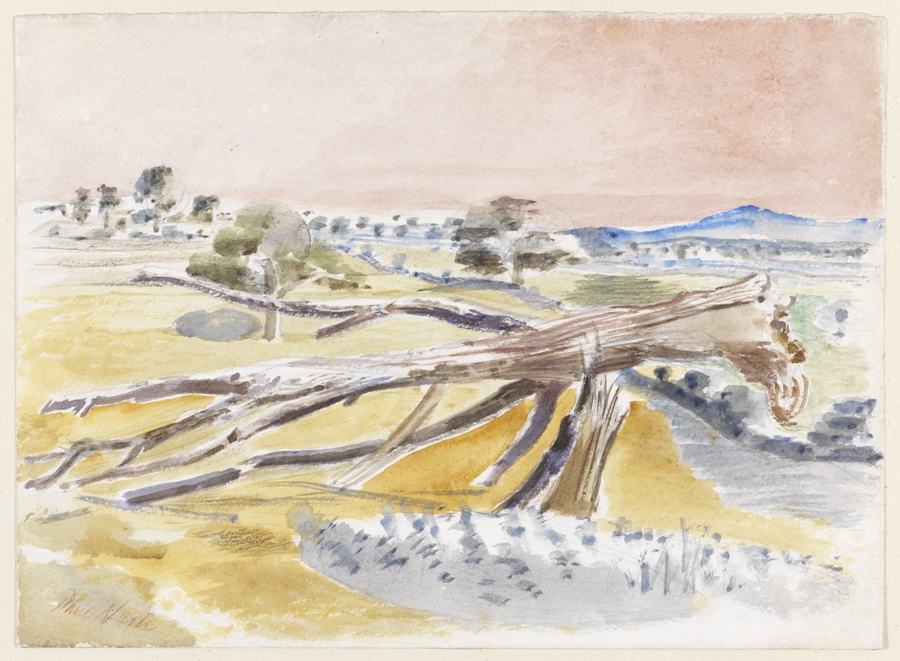Champ de monstres, Étude II - Paul Nash