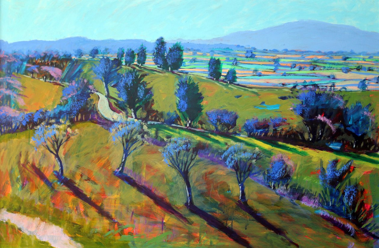 Crickley Hill Spring - Paul Powis