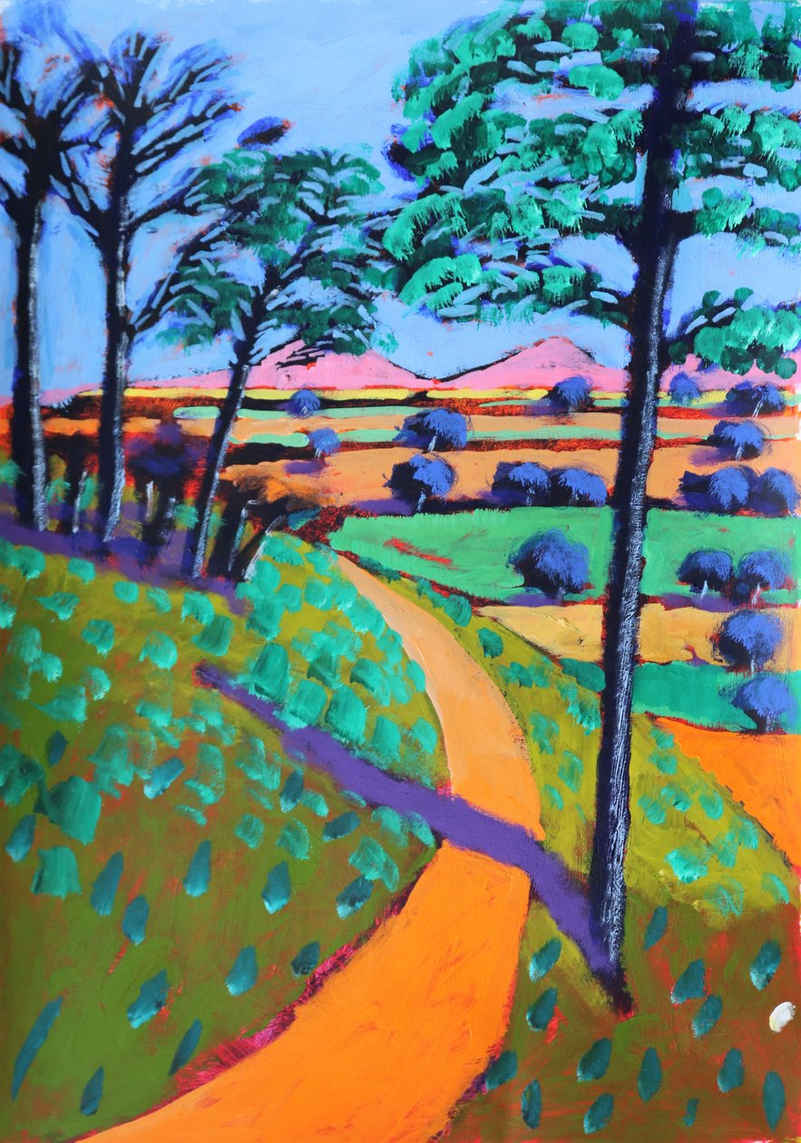 Swineyard Hill, 2021 (acrylique sur papier) - Paul Powis