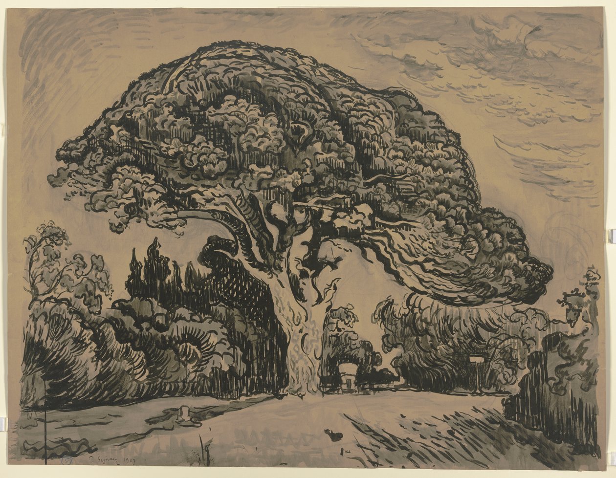 Le Pin Bertaud - Paul Signac