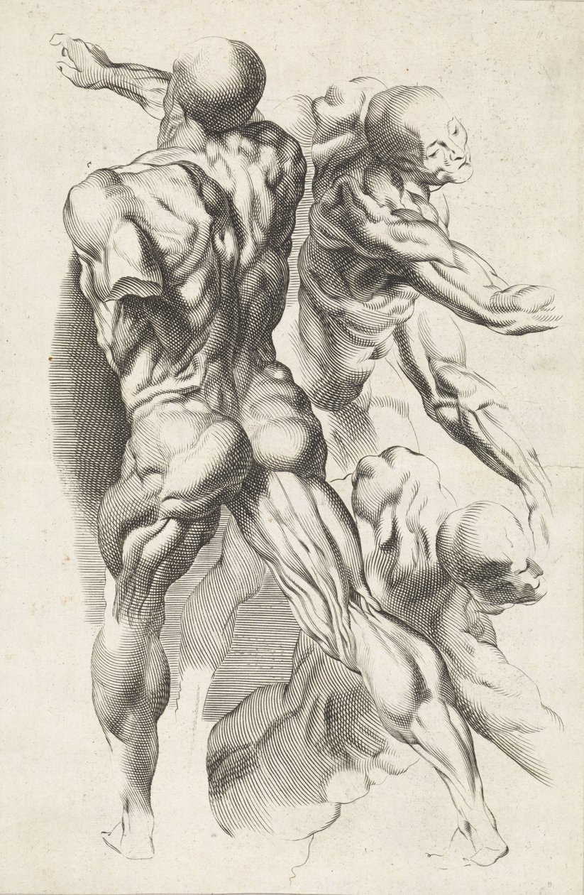 Étude anatomique de trois figures avec les bras étendus - Paulus Pontius