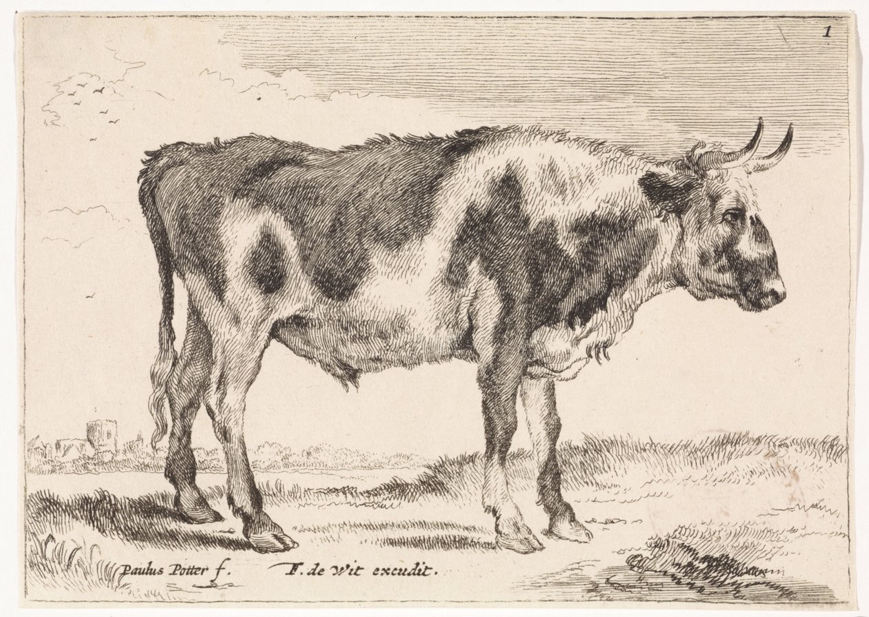 Bœuf tacheté - Paulus Potter (rejected attribution)